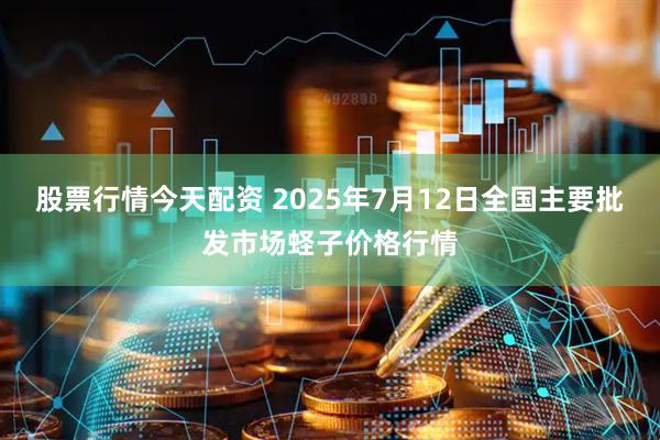 股票行情今天配资 2025年7月12日全国主要批发市场蛏子价格行情